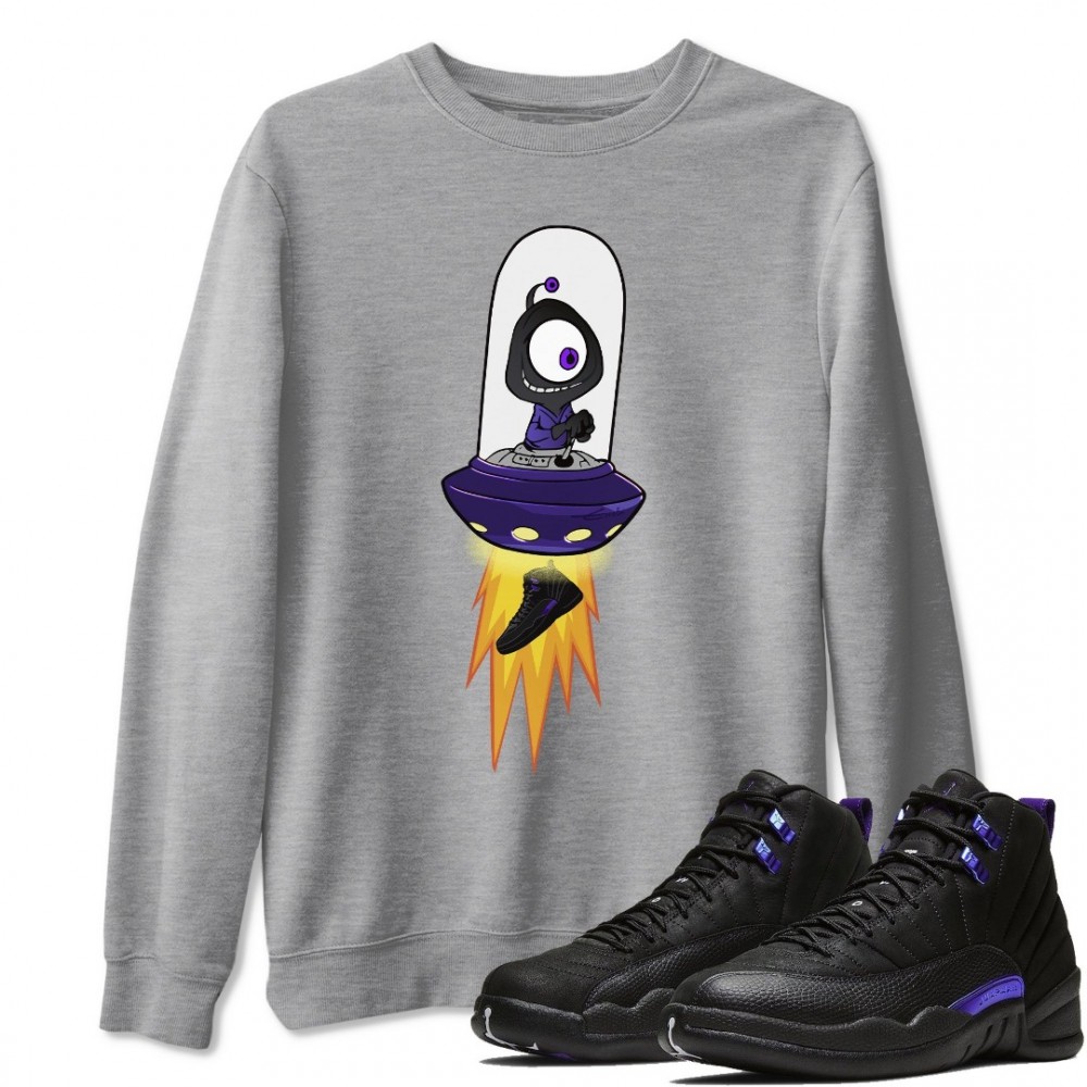 ALIEN SWEATSHIRT - AIR JORDAN 12 DARK CONCORD