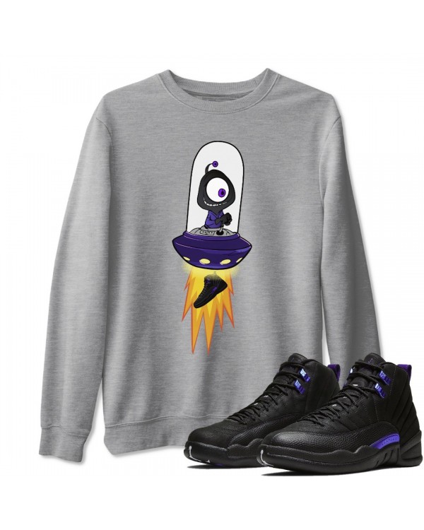 ALIEN SWEATSHIRT - AIR JORDAN 12 DARK CONCORD