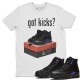 GOT KICKS T SHIRT - AIR JORDAN 12 DARK CONCORD