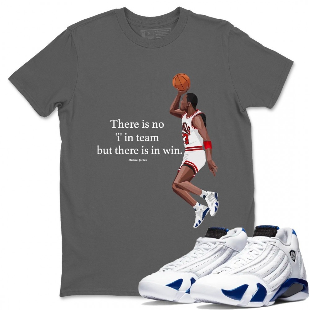 MICHAEL JORDAN T SHIRT - AIR JORDAN 14 HYPER ROYAL