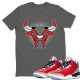 BULL HEAD T-SHIRT - AIR JORDAN 3 UNITE