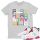 PLAY HARD STAY WILD SILVER T-SHIRT - AIR JORDAN 6 HARE